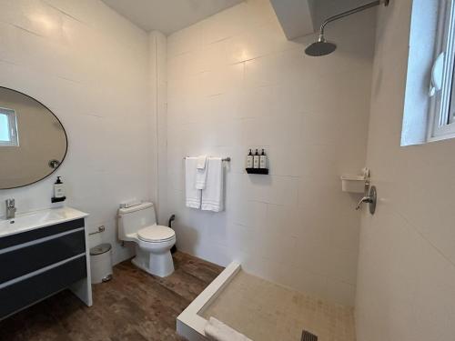 ein Badezimmer mit einem WC, einem Waschbecken und einem Spiegel in der Unterkunft La Mona Suites - 3 Bedroom Full Kitchen Suite in San Juan