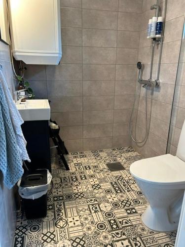 a bathroom with a shower and a sink and a toilet at Villa Alpaca Mökki - Laamatila in Nokia