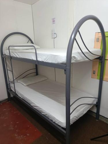 Divstāvu gulta vai divstāvu gultas numurā naktsmītnē Seaview Hostel
