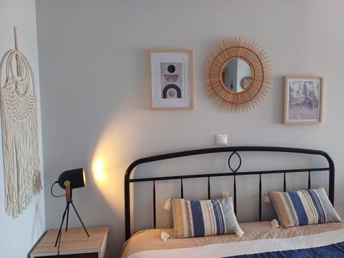 Asterias blue Studio