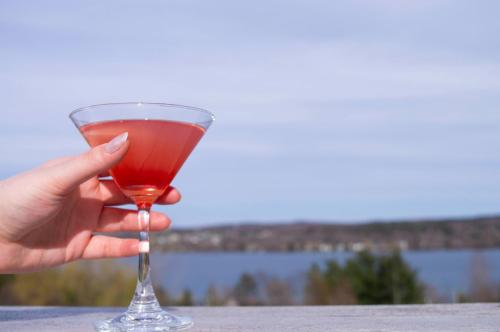 a hand holding a wine glass with a red drink at Au Sommet du Lac Magog in Magog-Orford