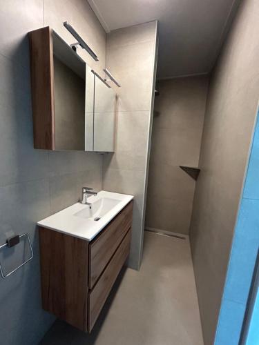a bathroom with a sink and a mirror at Buitenplaats Ureterp in Ureterp