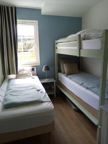 une chambre avec deux lits superposés et une fenêtre dans l'établissement Pomme, à Talmont-Saint-Hilaire