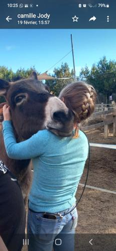 une femme avec sa tête sur un mouton dans l'établissement nuitée à la ferme, à Jouques