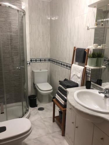 uma casa de banho com um WC, um lavatório e um chuveiro em Alojamiento ideal en Santiago em Santiago de Compostela