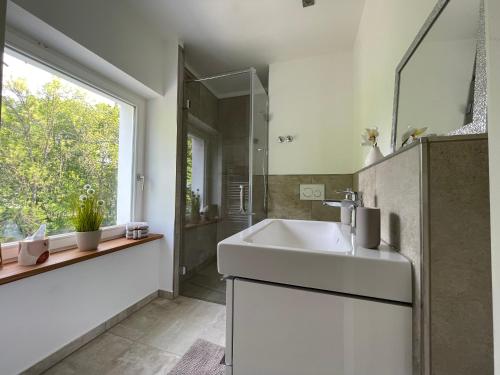 La salle de bains est pourvue d'un lavabo, d'une douche et d'une fenêtre. dans l'établissement PauliDrei, à Leipzig