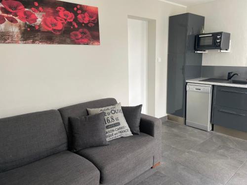 a living room with a gray couch in a kitchen at Apartment The Address in Carcassonne