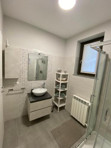 a bathroom with a sink and a shower at Dolcevista Apartment in Massino Visconti