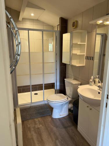 une salle de bain avec une douche, des toilettes et un lavabo dans l'établissement La maison de Kelenn, à Saint-Martin-de-Laye