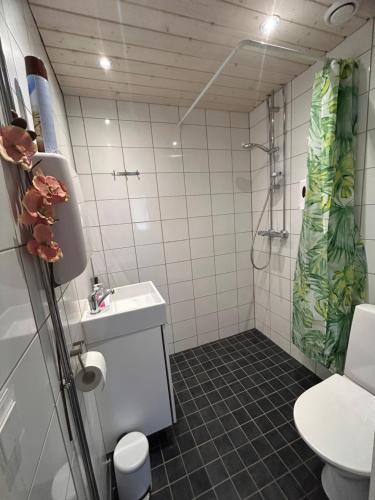 a bathroom with a shower and a sink and a toilet at ChillOut Studio Apartment Lahti in Lahti