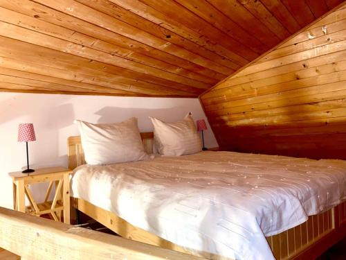 Łóżko lub łóżka w pokoju w obiekcie Casa Tisaru