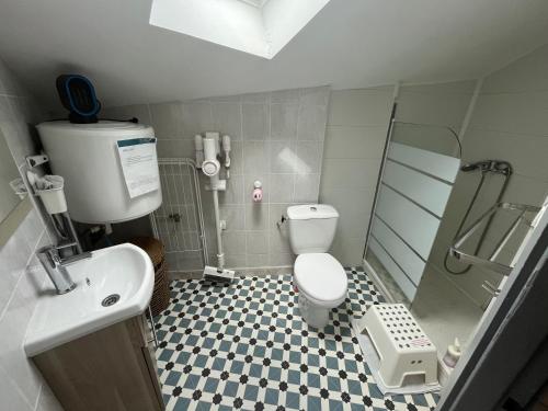 La salle de bains est pourvue d'une douche, de toilettes et d'un lavabo. dans l'établissement L'appart & bleu studio, à LʼArbresle