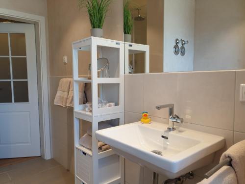 a bathroom with a sink and a white shelf at Haus Sabine Fewo Bergliebe in Wallgau