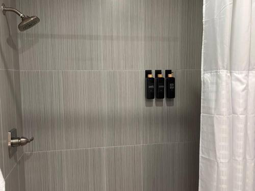 a bathroom with a shower with two bottles on the wall at Healing Haven King Bed Suite in Dallas
