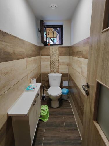 Bilik mandi di Apartmán HRANICE - Hřensko