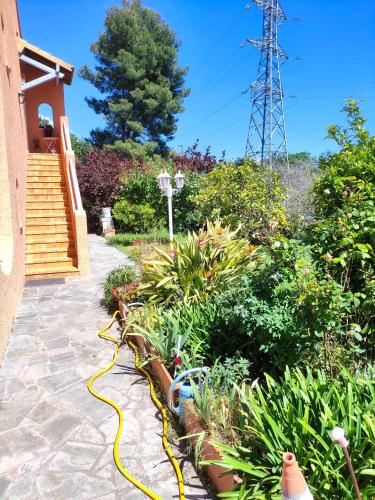 um jardim com uma mangueira amarela ligada a plantas em Jolie bas de villa entre mer et campagne em Ollioules