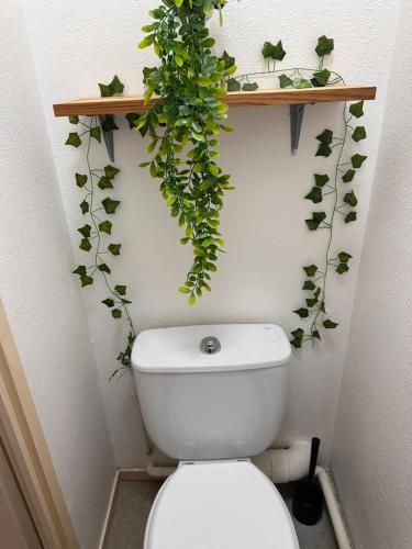 ブラニャックにあるCharming one bedroom apartment, - pres des commerces et tram FIBRE wifi, Airbus MEET super locationのバスルーム(植物が壁に付いたトイレ付)