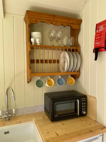西洛爾的住宿－Willow Shepherd Hut，厨房的台面上有一个微波炉