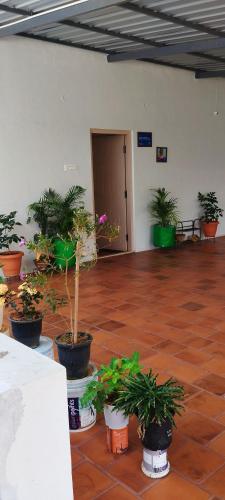 a room with several potted plants on the floor at Karimbummel House- A room with spacious Balcony in Mysore