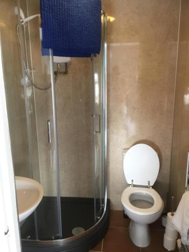 a bathroom with a shower and a toilet and a sink at Harbour House in Barmouth