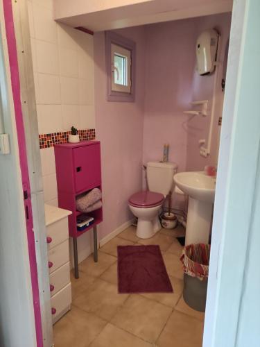 een badkamer met een toilet en een wastafel bij La Désirade in Montmirail
