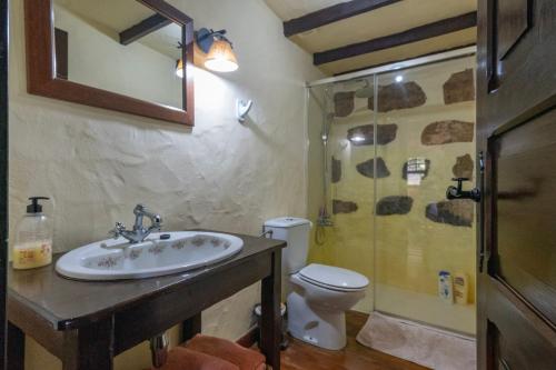 uma casa de banho com um lavatório, um WC e um chuveiro em Casa Rural Mi Perlita em Vega de San Mateo