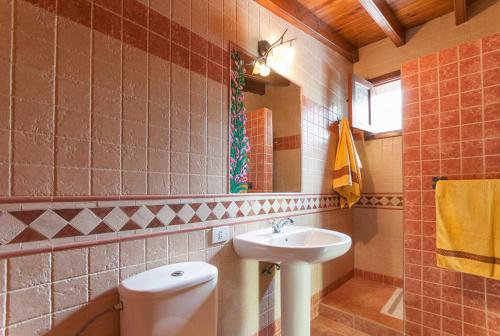 a bathroom with a sink and a toilet and a mirror at La Montaña in Santa Lucía