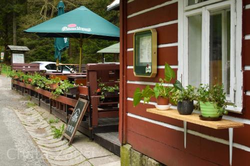 a restaurant with plants on the side of a building at Penzion chalupa Lesní zátiší in Harrachov