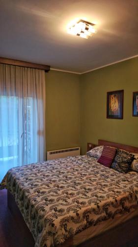 ein Schlafzimmer mit einem großen Bett und einem Fenster in der Unterkunft Apartman Jovanovic in Vrnjačka Banja