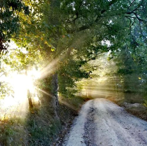 Gallery image of La Quercia Incantata in Camerino