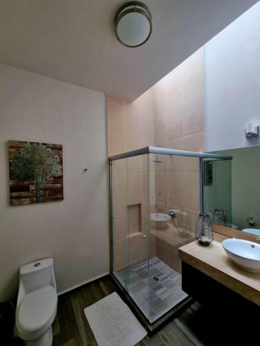 a bathroom with a shower and a toilet and a sink at Ideal home for your next get away in San Miguel de Allende