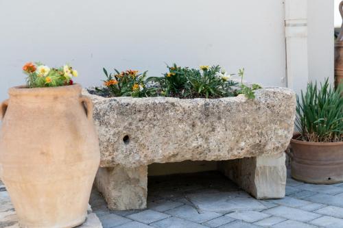 Φωτογραφία από το άλμπουμ του Villa Elisabeth στο Πέραμα