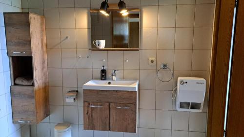 a bathroom with a sink and a mirror at Appartement Neuastenberg in Winterberg