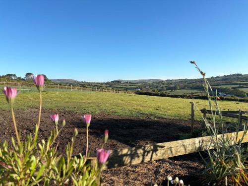 a field with pink flowers and a fence at Meadow View Barn, Rural St Ives, Cornwall. Brand New 2 Bedroom Idyllic Contemporary Cottage With Log Burner. in Nancledra