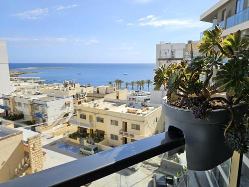 a pot of plants on a balcony with the ocean at Family holidays in St. Paul's Bay