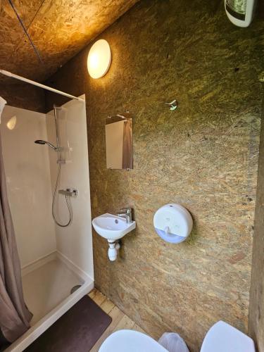 a bathroom with a sink and a shower at Domaine le Colombier in Dienville