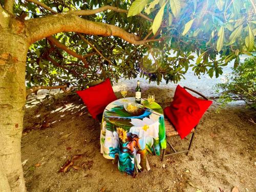 une table et deux chaises assises sous un arbre dans l'établissement Sweet Home 1mn Train RER A et 10mn de Paris, à Houilles