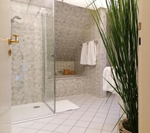 a shower with a glass door in a bathroom at Ferienwohnungen an der Hufeland-Therme in Bad Pyrmont
