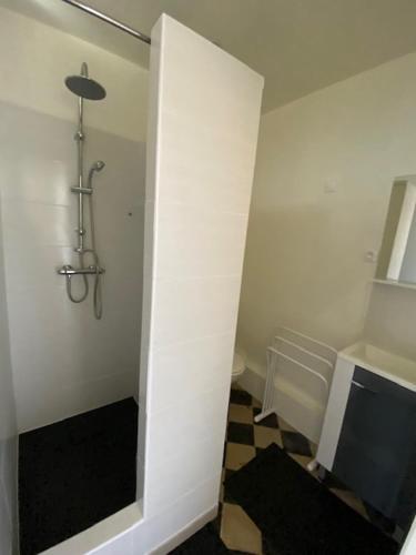 une salle de bain blanche avec une douche et un lavabo dans l'établissement Chez Nanou, à proximité de St Emilion, à Sainte-Terre