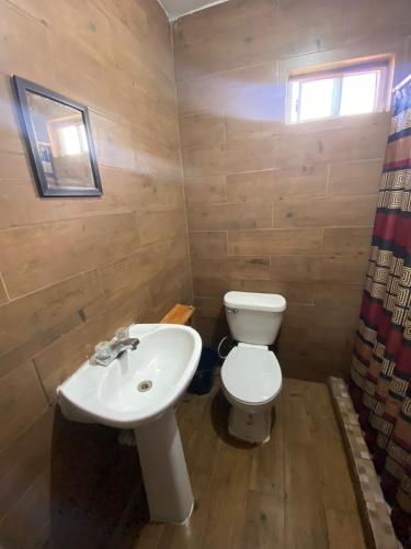 a bathroom with a white toilet and a sink at Departamento en ciudad Tipo Campirano in Mexicali