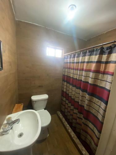 een badkamer met een toilet, een wastafel en een douche bij Departamento en ciudad Tipo Campirano in Mexicali