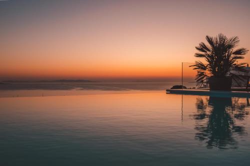 a palm tree sitting on top of a body of water at Nomia Sunset Suites Mykonos in Tagou