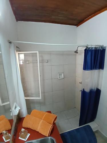 a bathroom with a shower and a table and a sink at Aloha hospedaje in Puerto Iguazú