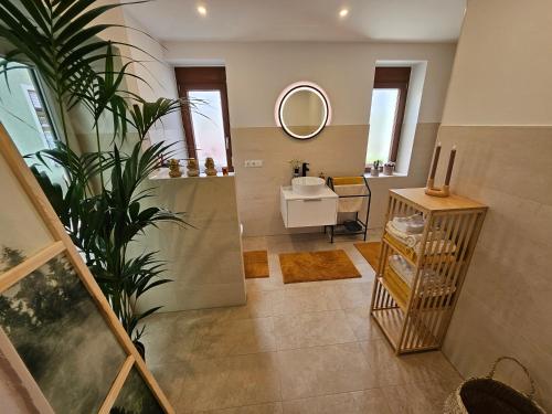 een badkamer met een wastafel, een spiegel en een plant bij Modern, ruhig, gemütlich inmitten der Rhön in Rippershausen
