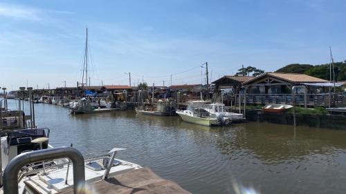 Photo de la galerie de l'établissement La Cabane 6 - L’esprit Bassin, à Andernos-les-Bains