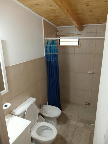 uma casa de banho com um WC, um lavatório e um chuveiro em Hostel El Reencuentro em Junín de los Andes