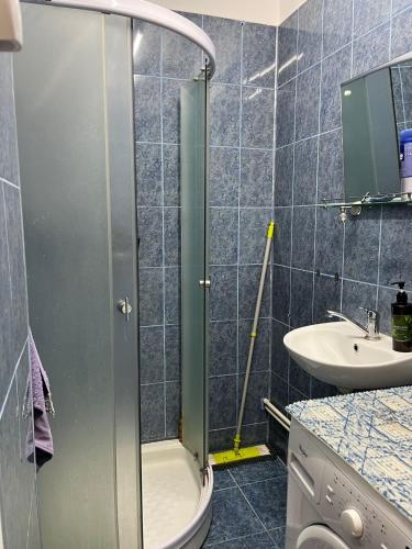 a bathroom with a shower with a toilet and a sink at Emese Central Square Vintage Apartment in Târgu-Mureş