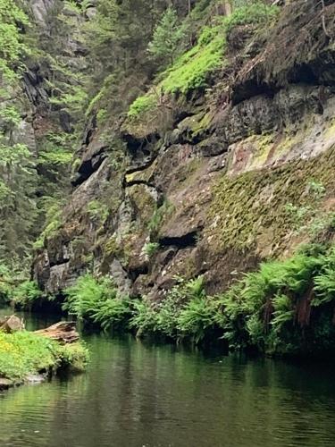 a river next to a rocky mountain with green plants at Mezná 85 in Hřensko