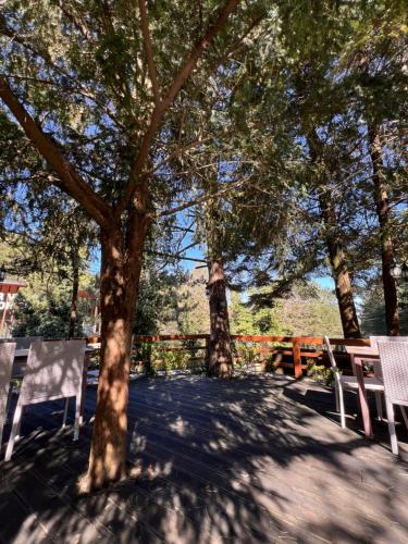 a group of chairs and trees in a park at Hotel Alpin Llogara in Llogara