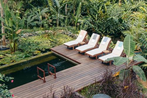 a group of chairs sitting on a wooden deck next to a pond at Luxury Villa Rainforest Estate with Pond in Bocas del Toro
